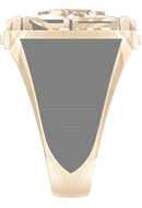 Left View